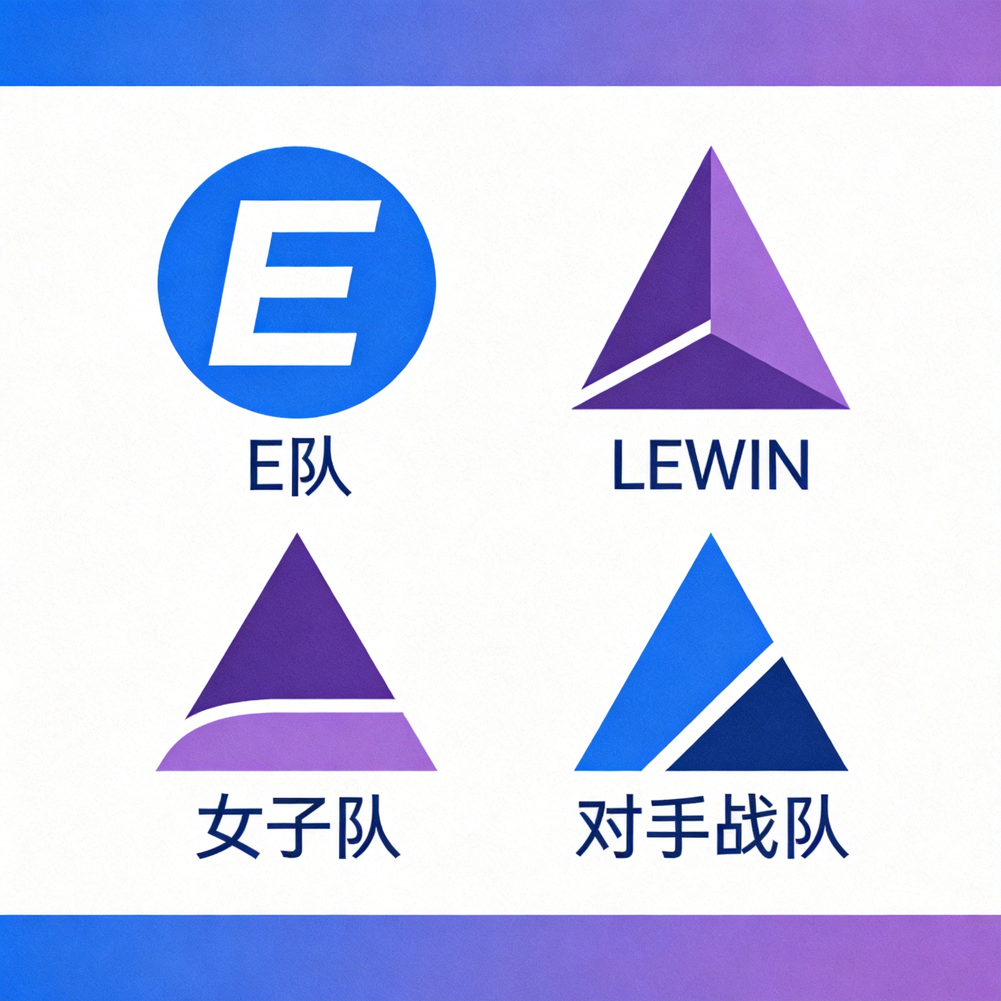 参赛战队E队标